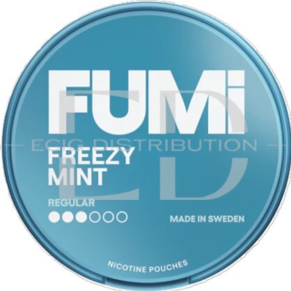 Fumi Regular Nicotine Pouches - Freezy Mint 4MG